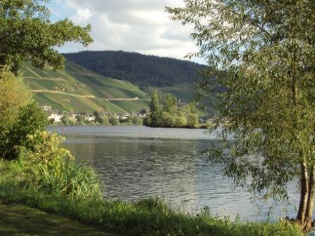 Gastehaus Sabine Hotell Zell an der Mosel Eksteriør bilde